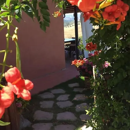Holiday home Country House In Chianti Da Vieri Certaldo