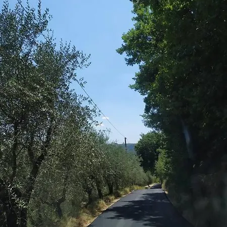 Country House In Chianti Da Vieri Certaldo