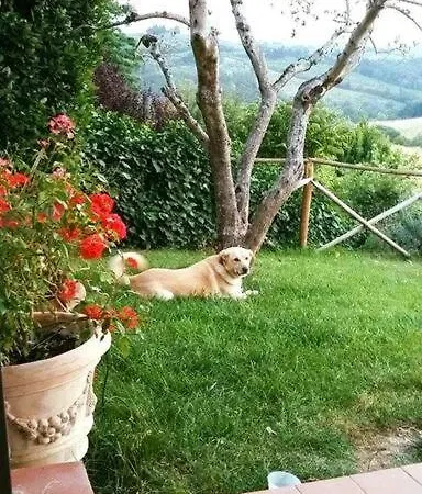Holiday home Country House In Chianti Da Vieri Certaldo